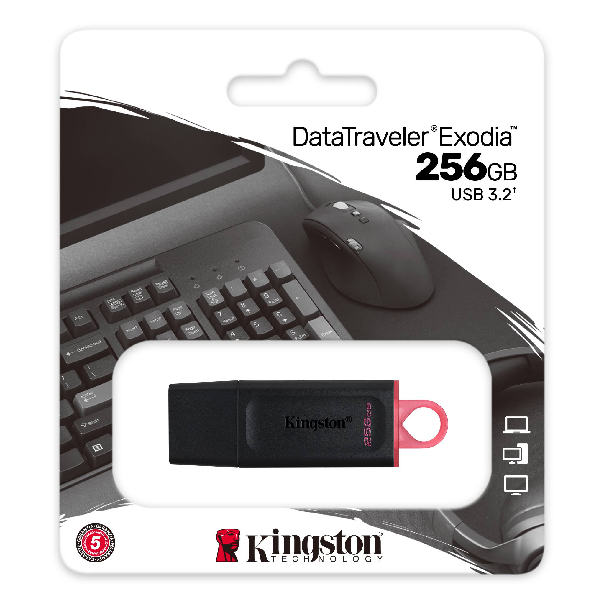 Kingston DataTraveler Exodia USB-Stick 256GB