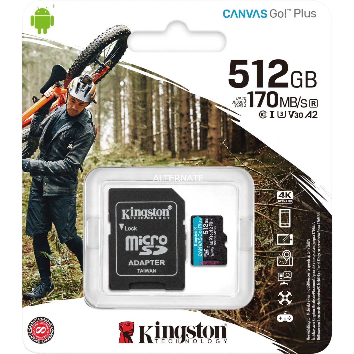 Kingston Canvas Go! Plus 4K microSD Speicherkarte 512GB