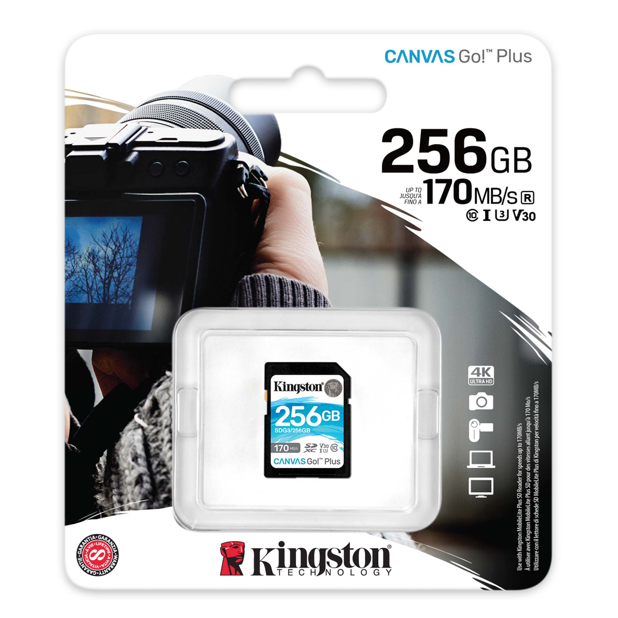 Kingston Canvas Go! Plus SD 4K Speicherkarte 256GB