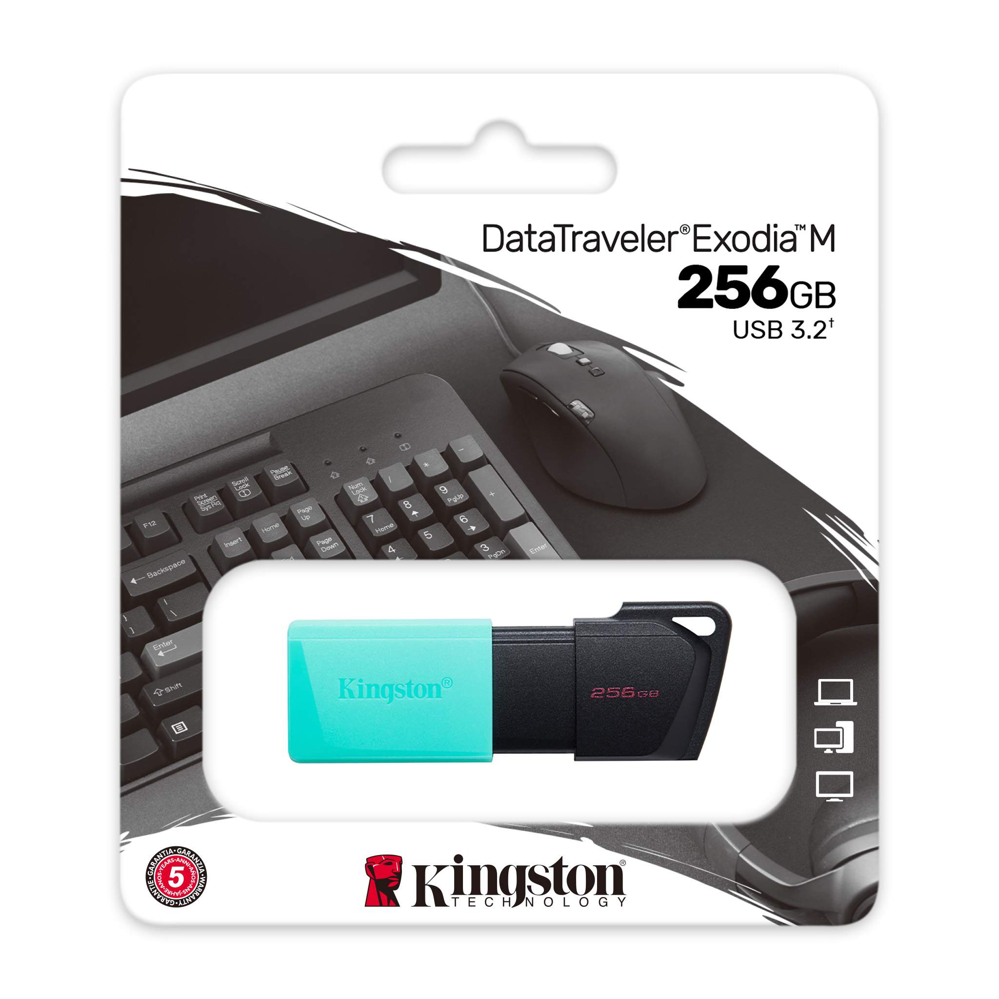 Kingston DataTraveler Exodia M USB-Stick 256GB